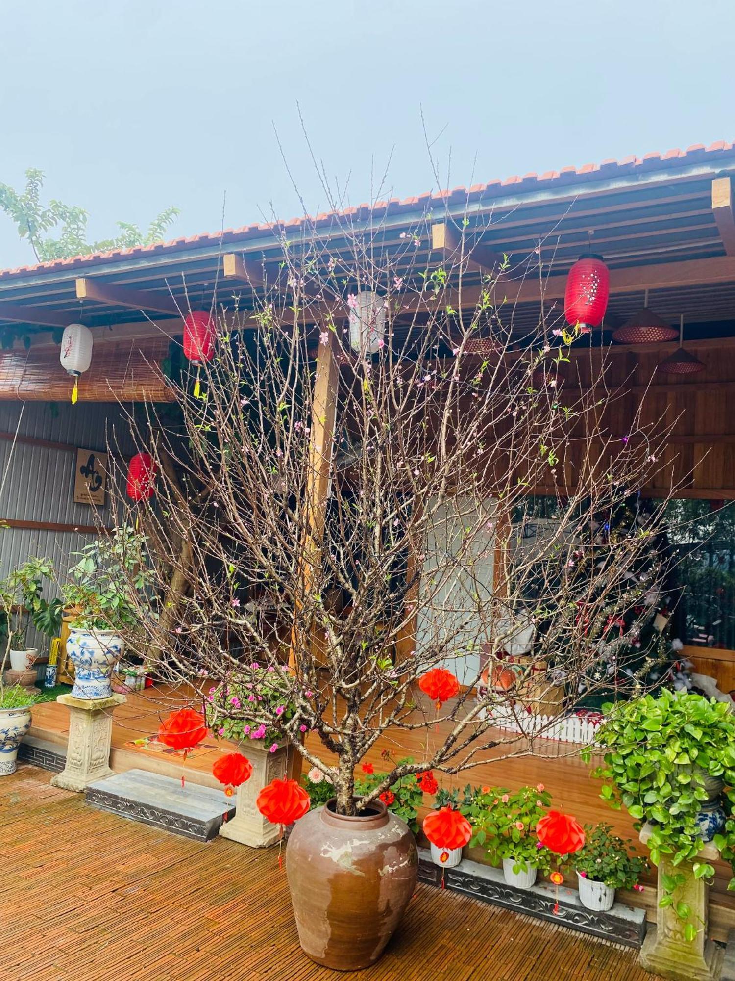 An Homestay Tam Coc Ninh Binh Exterior photo